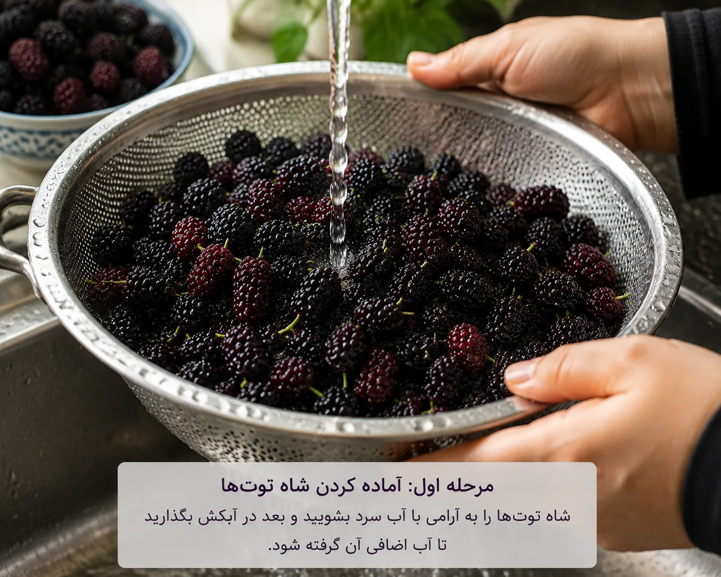 آماده کردن شاه توت‌ها